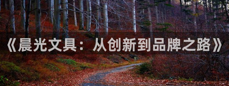 龙八龙八国际：《晨光文具：从创新到品牌之