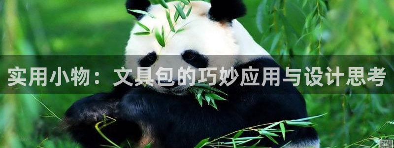 龙八国际官方：实用小物：文具包的巧妙应用