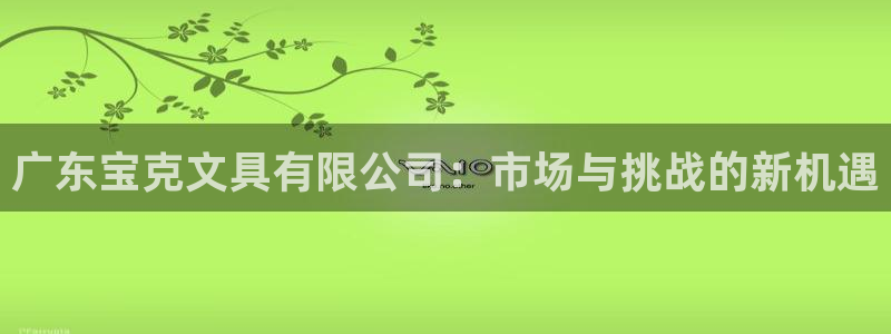 龙八国际手机app：广东宝克文具有限公司