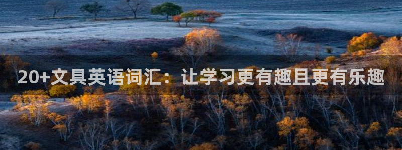 龙八国际娱乐App客户端下载：20+文具