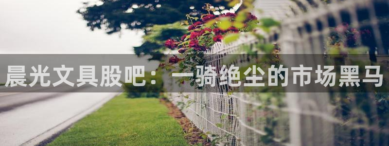 龙八国际网页：晨光文具股吧：一骑绝尘的市