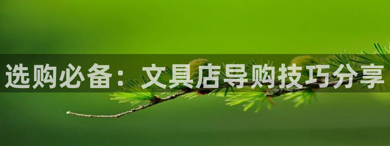 冯文戈 龙八国际集团：选购必备：文具店导