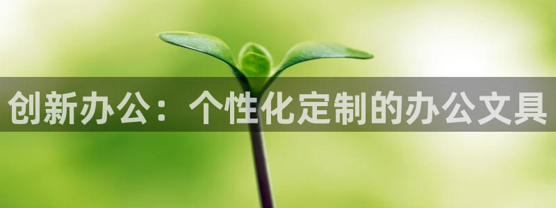 下载龙八国际手机端：创新办公：个性化定制