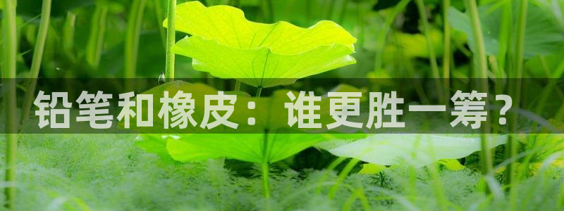 龙八国际相仿平台：铅笔和橡皮：谁更胜一筹