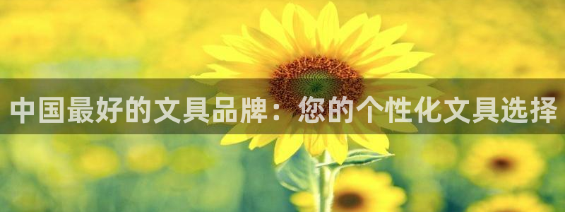 龙八国际官方网：中国最好的文具品牌：您的
