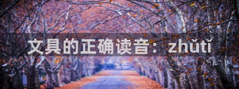 龙八国际手机登录：文具的正确读音：zhǔ