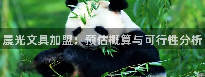 龙八国际app手机版下载苹果：晨光文具加