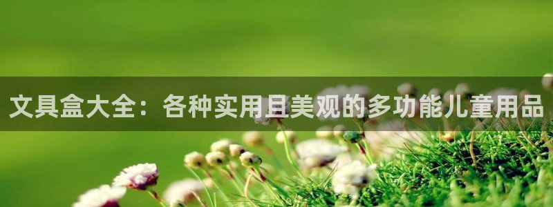 龙八国际是个什么游戏：文具盒大全：各种实