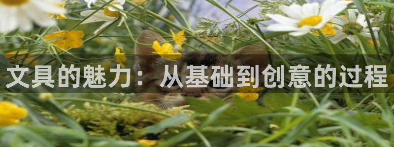 龙八国际官网app下载：文具的魅力：从基