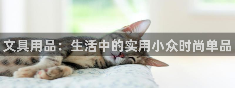 龙八国际不管吗：文具用品：生活中的实用小