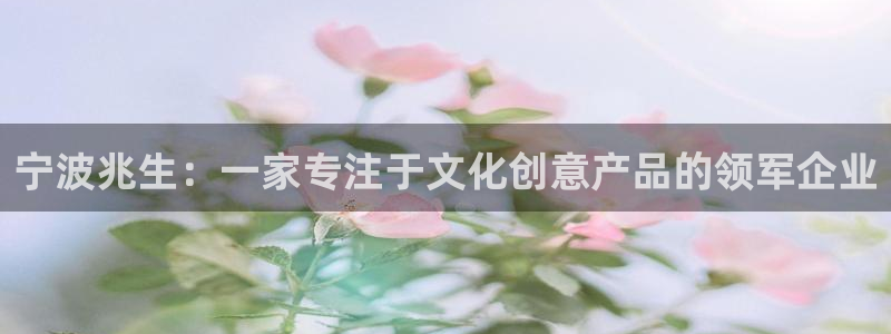 龙八国际娱乐网站：宁波兆生：一家专注于文