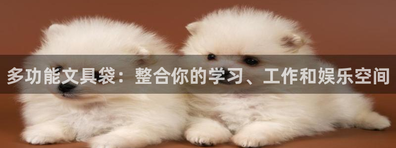 龙八国际下载：多功能文具袋：整合你的学习