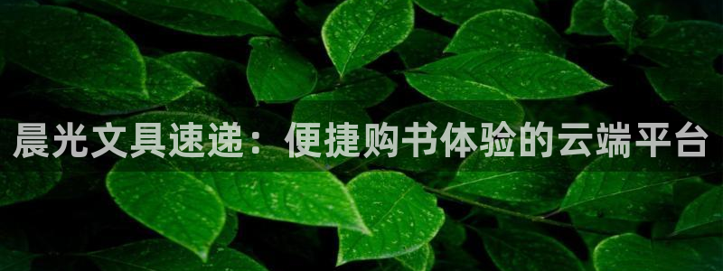 龙八国际服官方：晨光文具速递：便捷购书体
