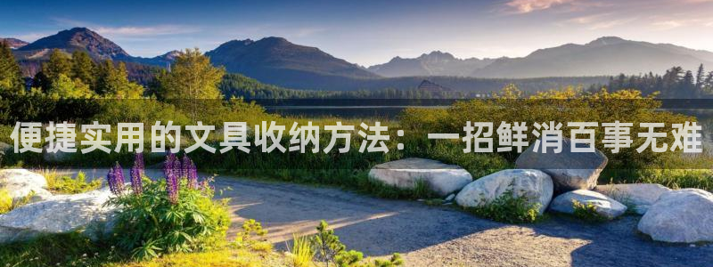 龙八国际平台首页：便捷实用的文具收纳方法