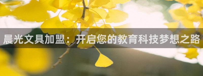 龙八国际打开页面：晨光文具加盟：开启您的