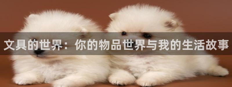 龙八国际手机登录入口：文具的世界：你的物