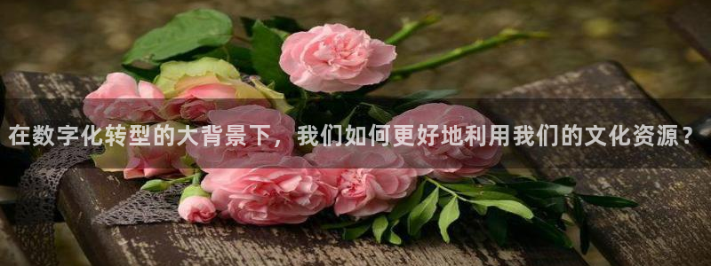 龙八国际官网app下载：在数字化转型的大