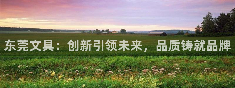 龙八国际客户端下载安装：东莞文具：创新引