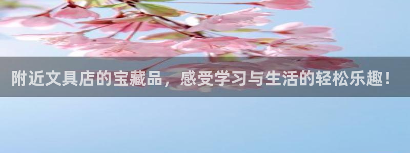 龙八国际服官网下载：附近文具店的宝藏品，