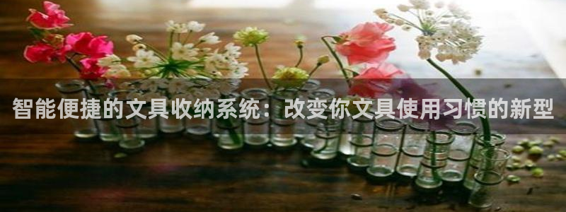 龙八国际官方手游：智能便捷的文具收纳系统