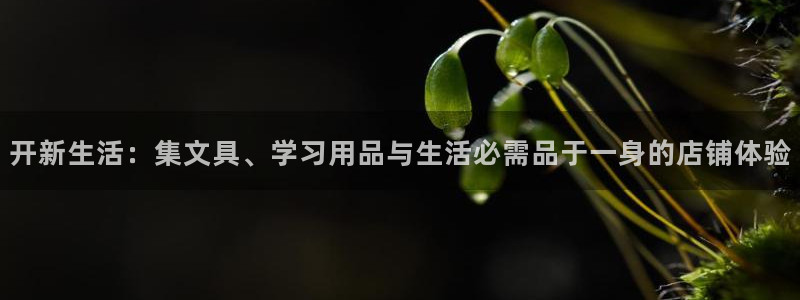 搜索 龙八国际：开新生活：集文具、学习用