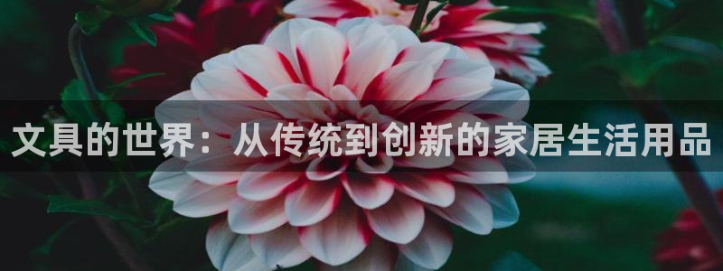 龙八国际官网手机版登陆：文具的世界：从传