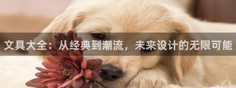 龙八国际代理：文具大全：从经典到潮流，未